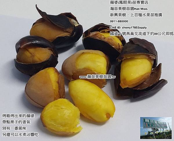 蘋婆(鳳眼果)