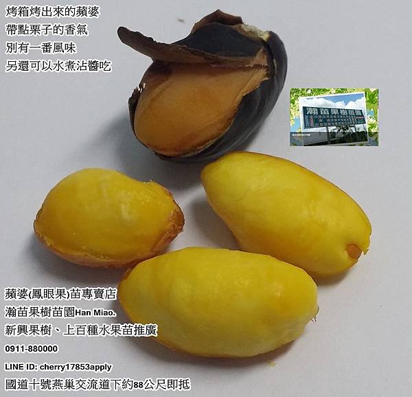 鳳眼果