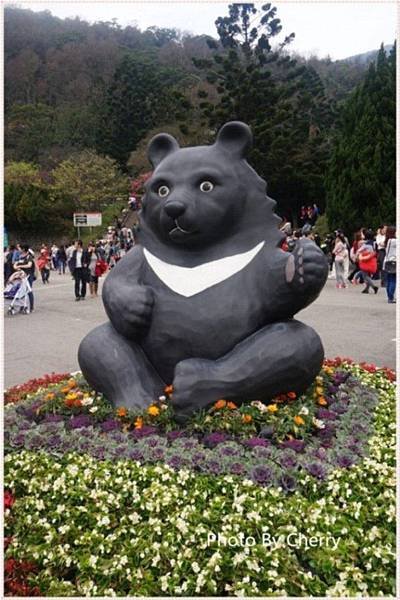 陽明山賞櫻-013
