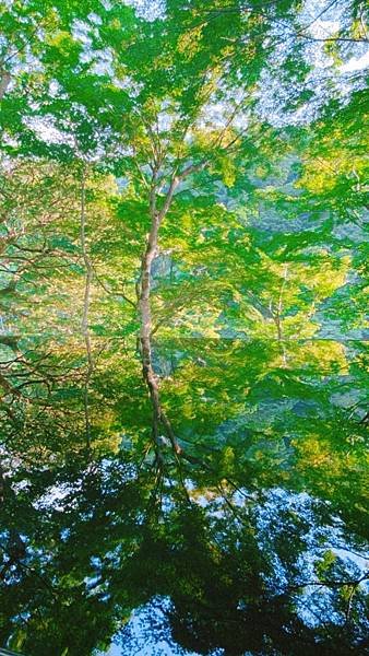 京都出發【嵐山】- 簡易交通走法懶人包