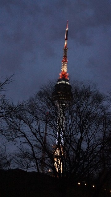 DSC07501.JPG