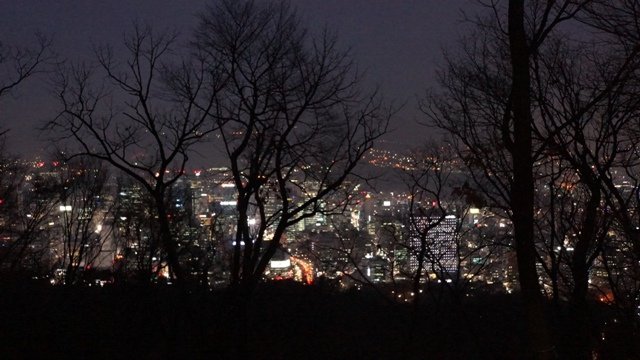 DSC07507.JPG