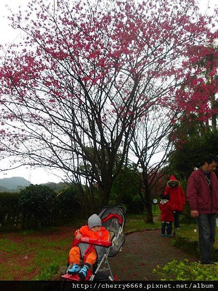 02.11三峽白雞山 (7).JPG