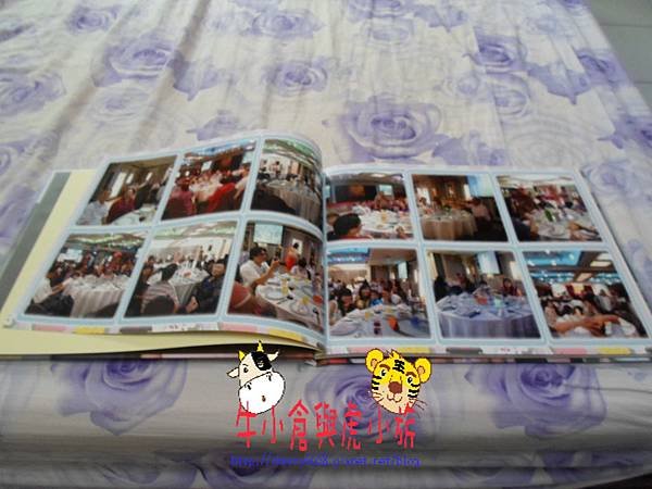 SAM_1614