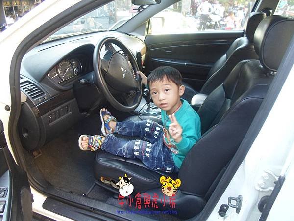 SAM_0743.JPG