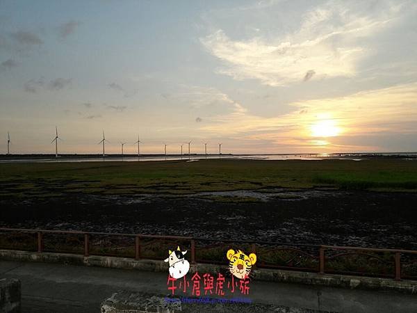 714高美濕地_170725_0104.jpg