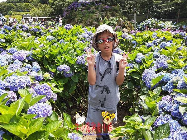 IMG20180609133759.jpg
