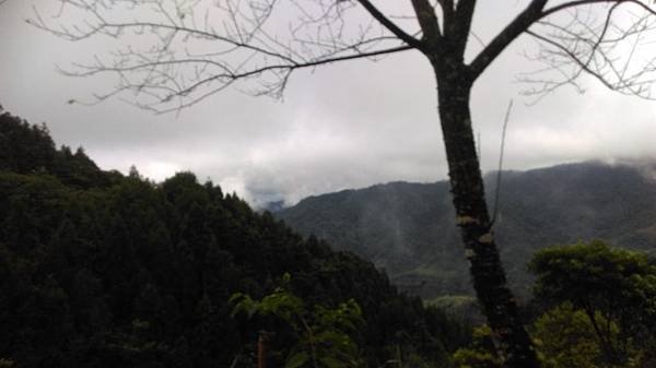 IMAG0985.jpg