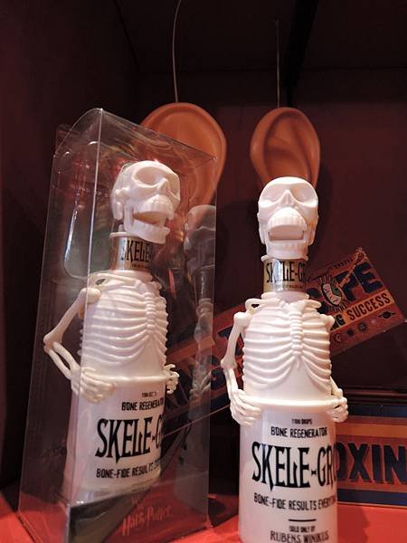 DSCN1310.JPG
