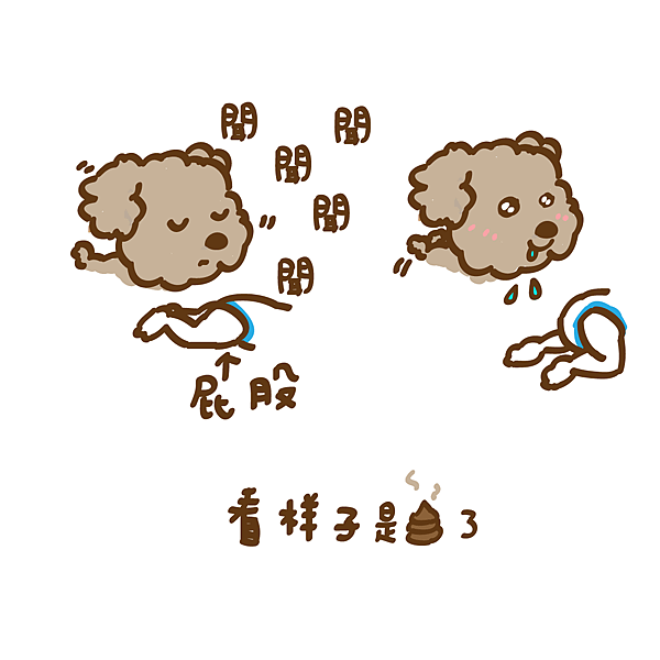 未命名-23.png