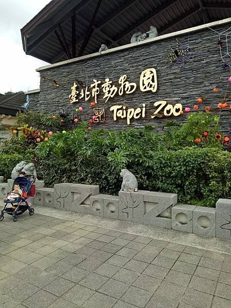 IMG20191102112306.jpg
