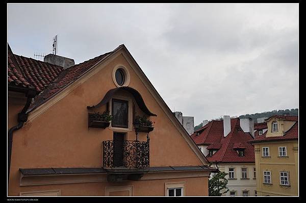 DSC_0132_nEO_IMG