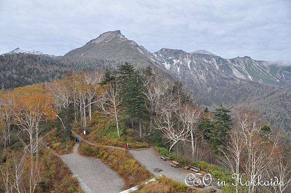 DSC_0567.jpg