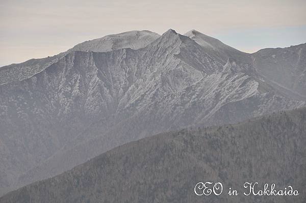 DSC_0589.jpg