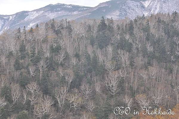 DSC_0564.jpg