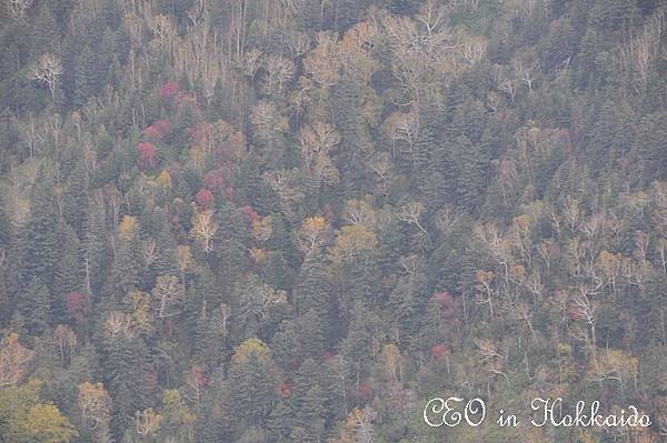 DSC_0586.jpg