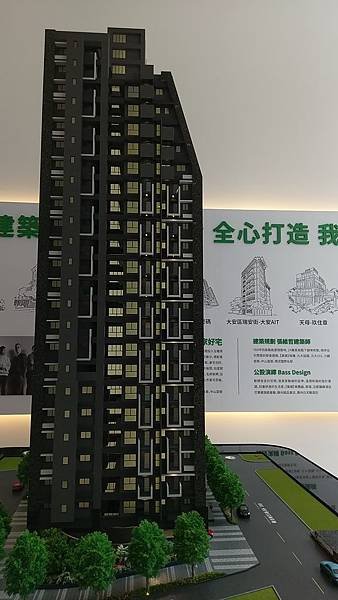 IMAG0772.jpg