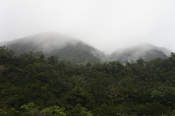 2011-1-28 020.jpg