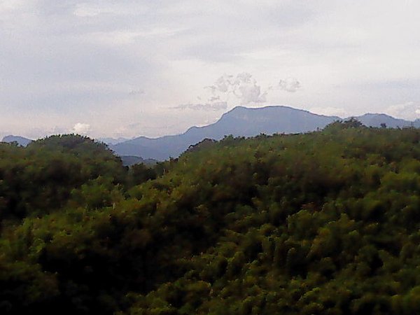 DSC00142.JPG