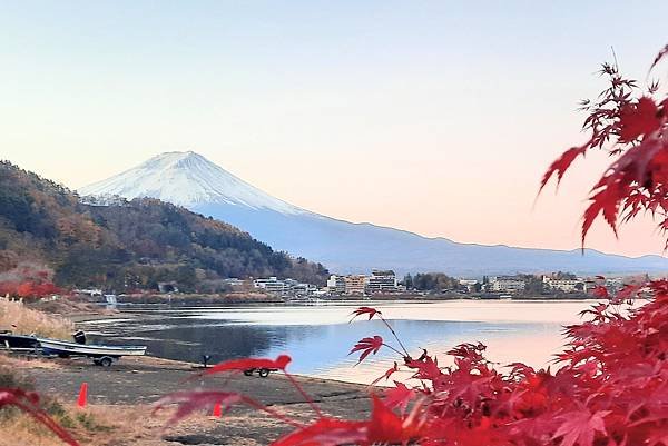 大井川5日 -0   富士山麓河口湖   1121128