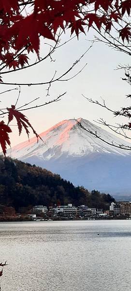 大井川5日 -0   富士山麓河口湖   1121128