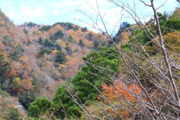 大井川五日 -1  長島水壩  1121129