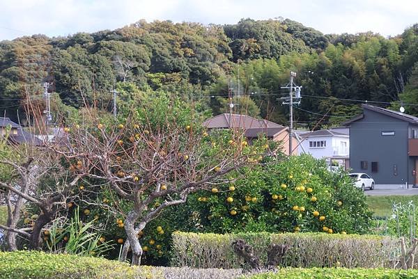 大井川5日 -11 天龍濱名湖鐵道觀光   1121209