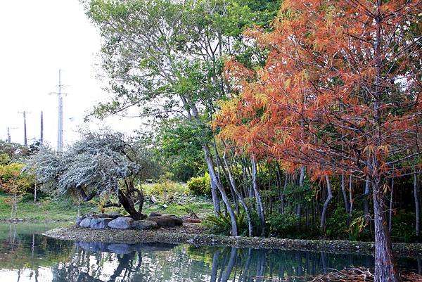 松湖驛站  1130104