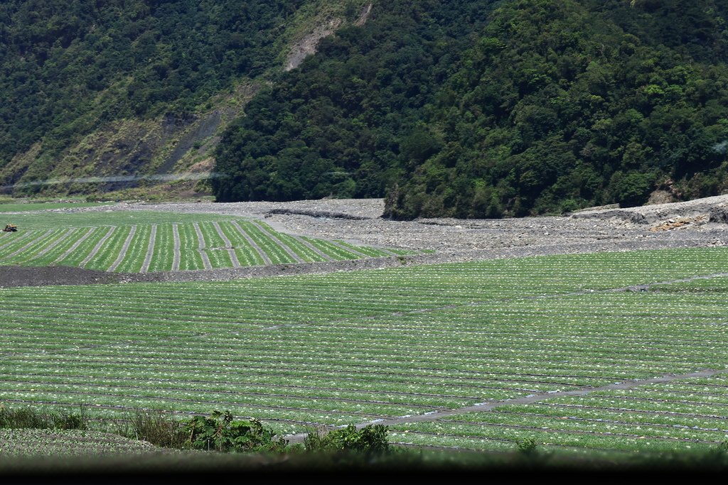 省道台7甲線風情 - 夏季西瓜田   1130705