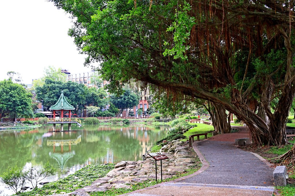 後花園記趣 (台灣大學)  1130814