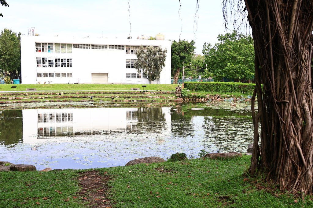 後花園記趣 (台灣大學)  1130814