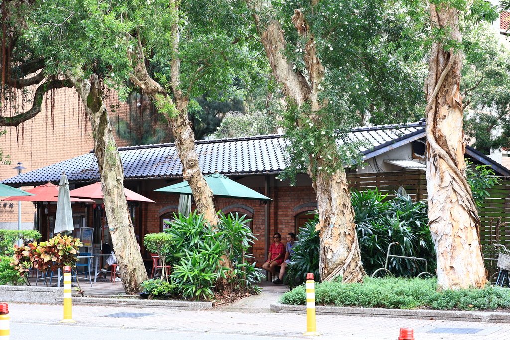 後花園記趣 (台灣大學)  1130814