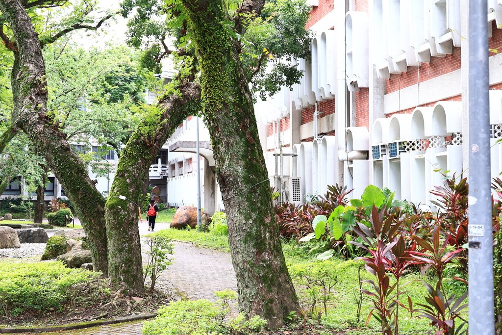 後花園記趣 (台灣大學)  1130814