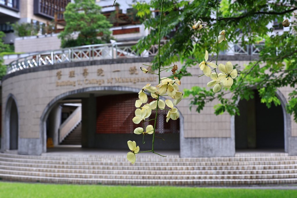後花園記趣 (台灣大學)  1130814