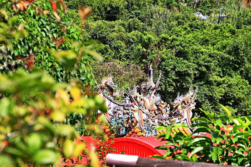 新店廣興河濱公園  1130822