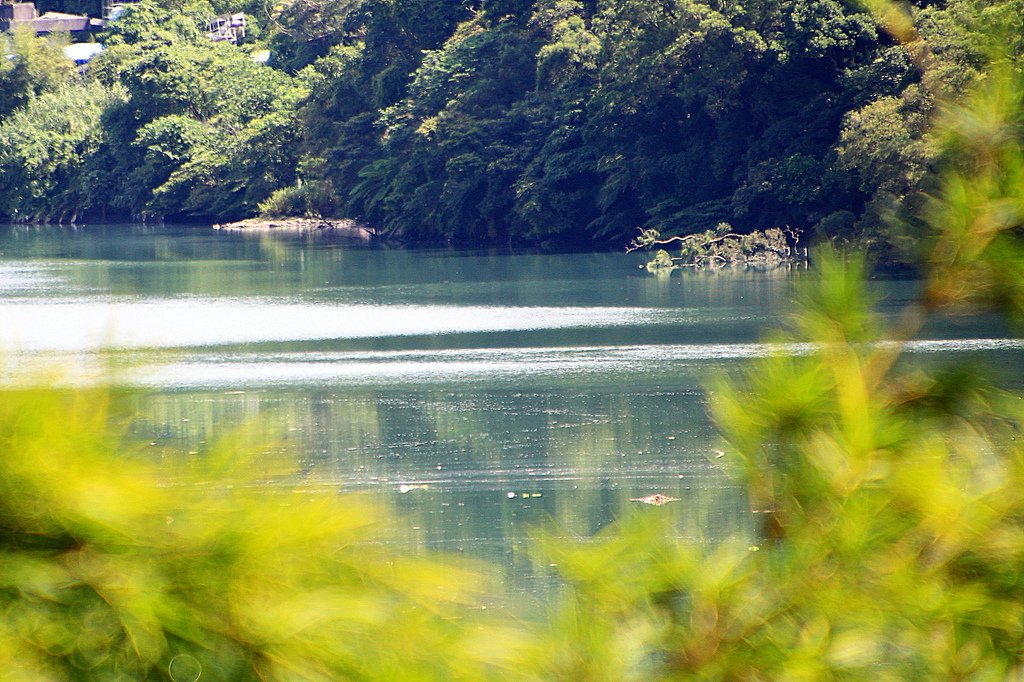 新店廣興河濱公園  1130822