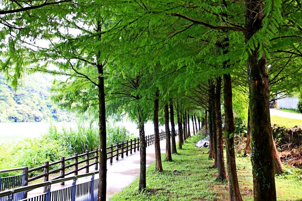 新店廣興河濱公園  1130822