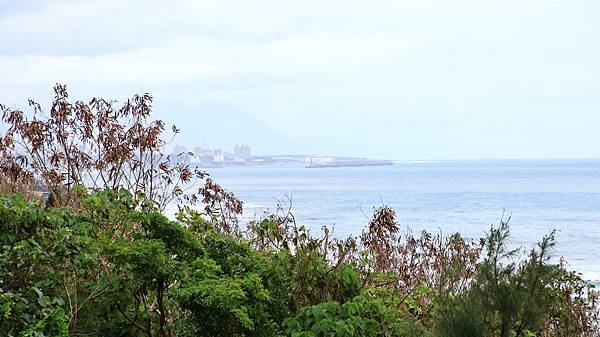 東管處花蓮遊客中心   1131229