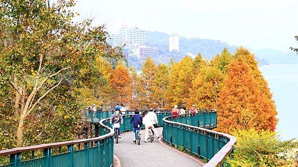 9天8夜中部自由行花絮1215-1 向山遊客中心   114