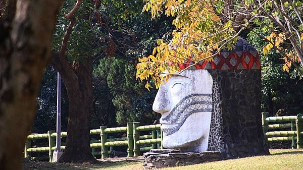 原住民文化主題公園落羽松  1140106