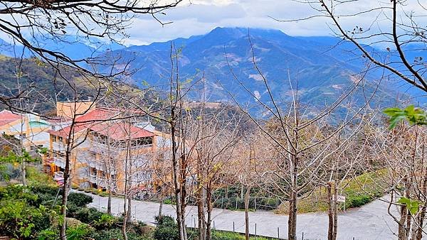 中部自由行花絮  1216-5  清境農場國民賓館後巷的民宿