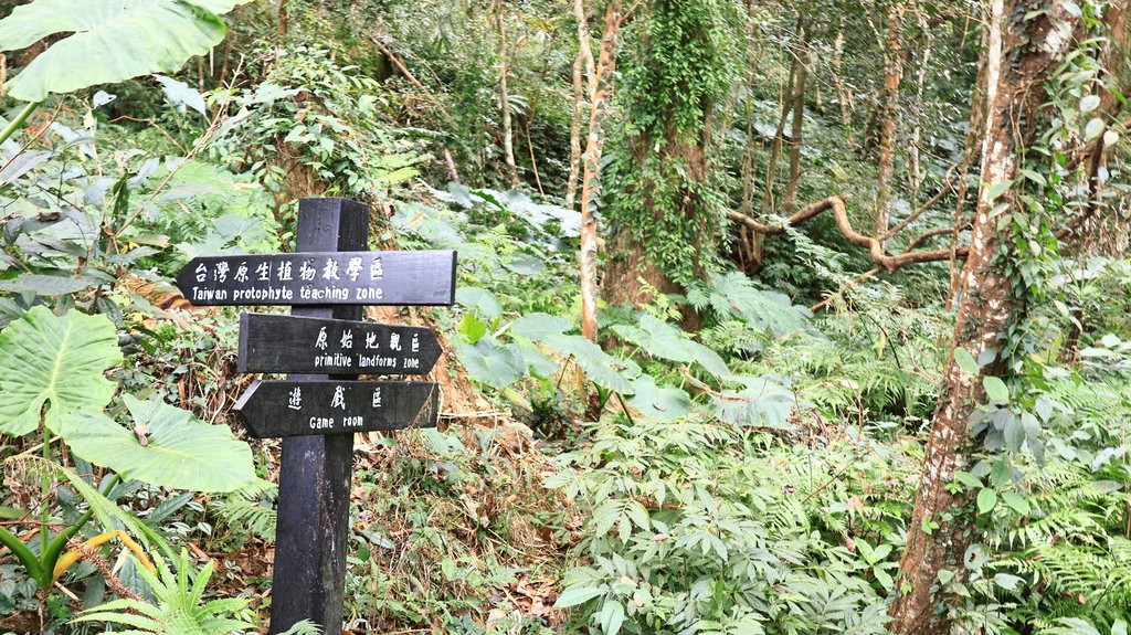 中部自由行花絮  1221-1  南投  內湖國小  114