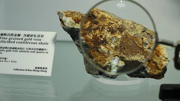 大金塊