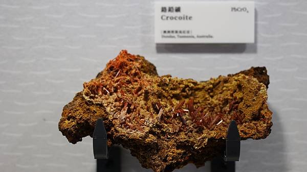 大金塊