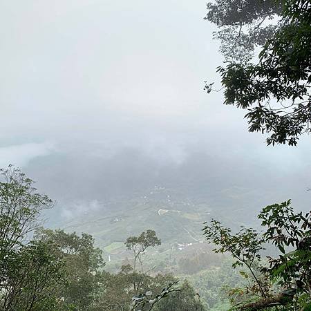 楓葉2 (1).jpg