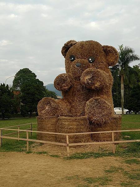 IMG20160209165131.jpg