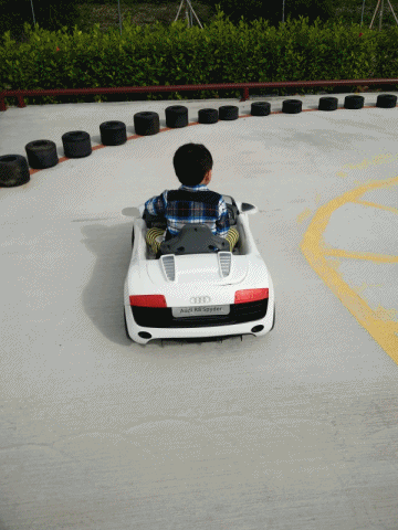 開車.gif