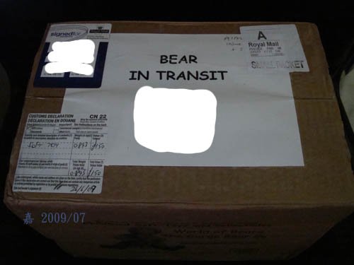 有熊出沒--bear in transit