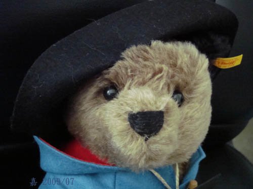 有熊出沒--paddington bear 2