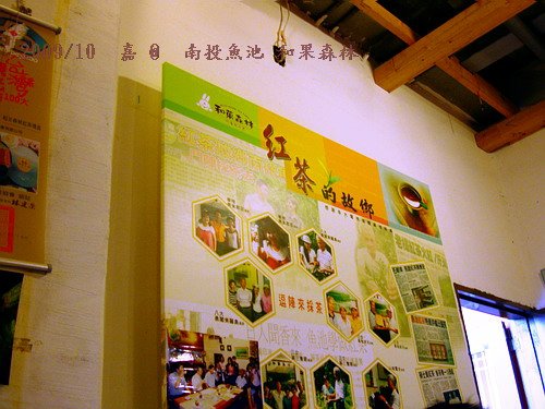 DSC03573-南投魚池和果森林 內部2.jpg